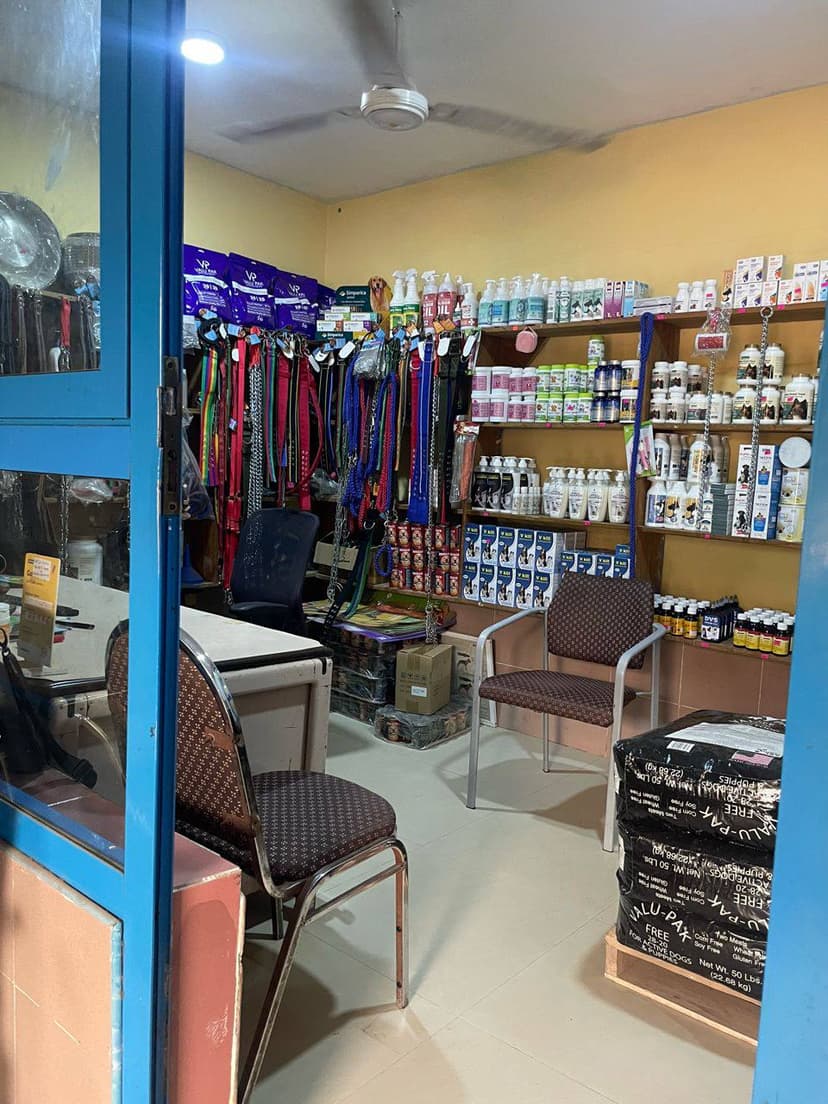 Stocked pharmacy shelves at Drushba